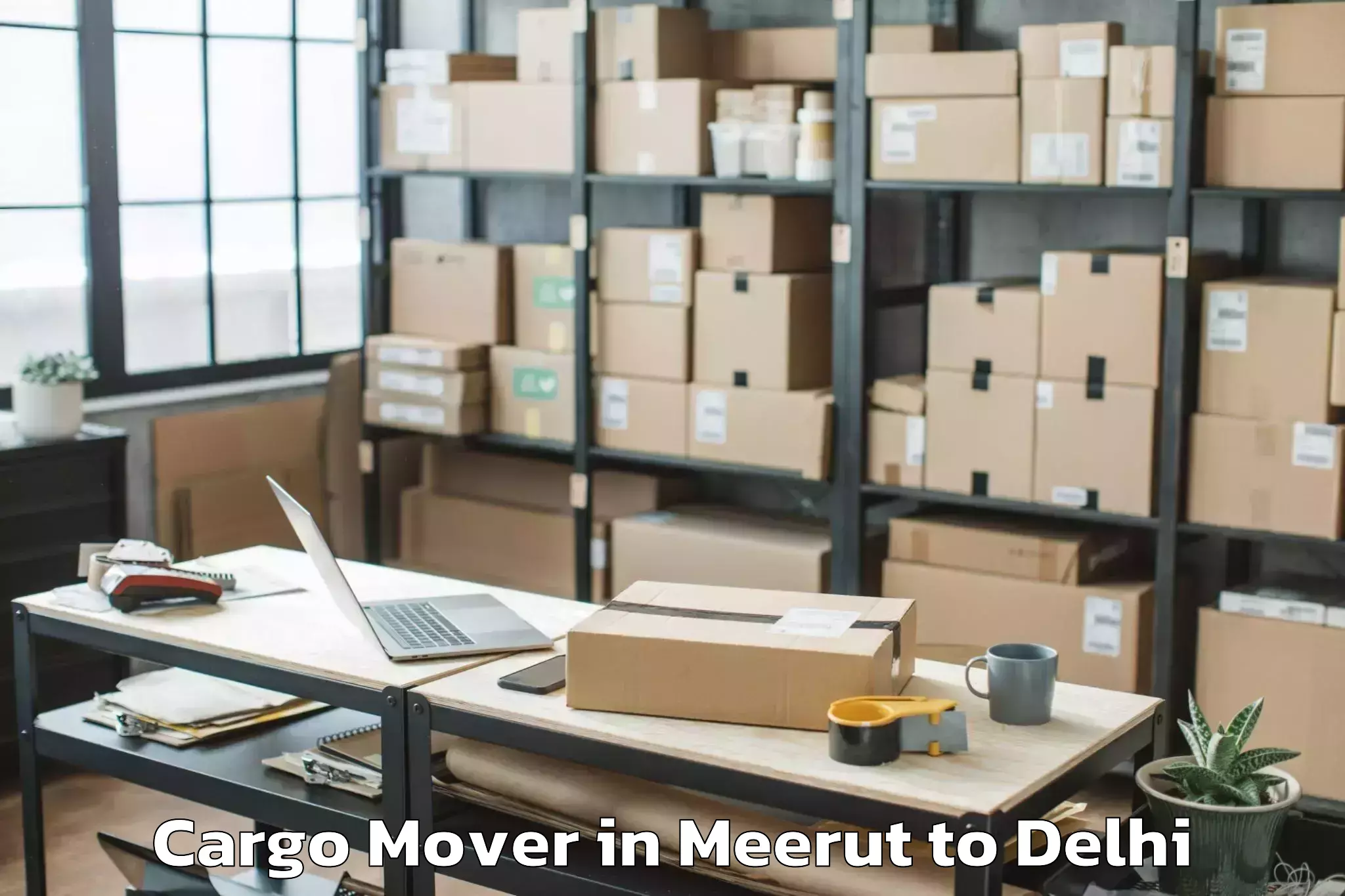 Book Meerut to City Centre Mall Rohini Cargo Mover